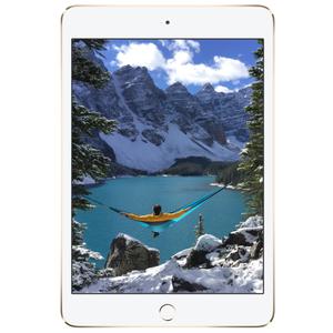 iPad mini 4 Wi-Fi A1538